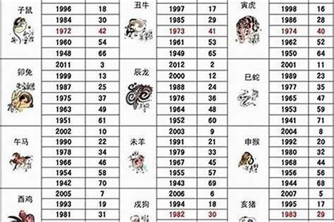 九五年 生肖|1995年1月出生属什么生肖